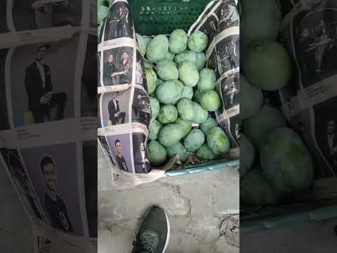 dako kesa barta  h #chosa Aam #Aam Aam kya batt h #,₹