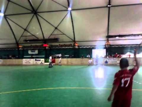 Sindjelic Kmf lion ( 12-8)