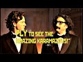 THE FLYING KARAMAZOV BROTHERS
