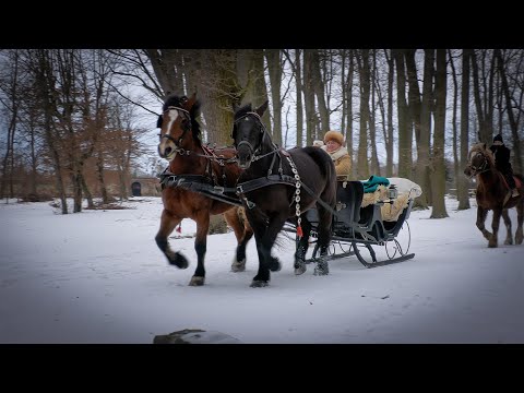 Nějak bylo, nějak bude - Holešov, ten pořád žije!