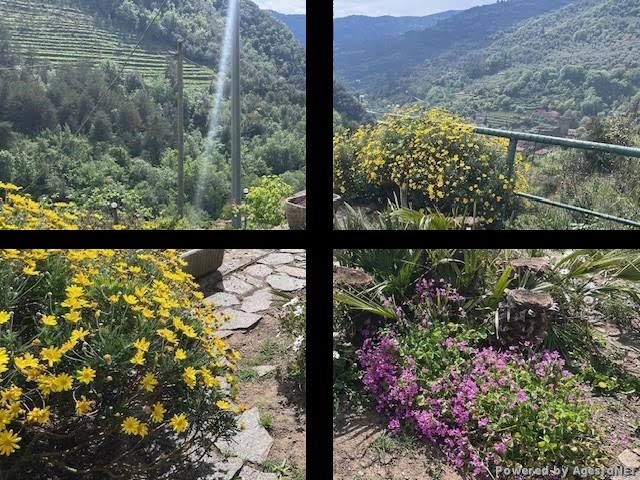 Villa in VENDITA  APRICALE