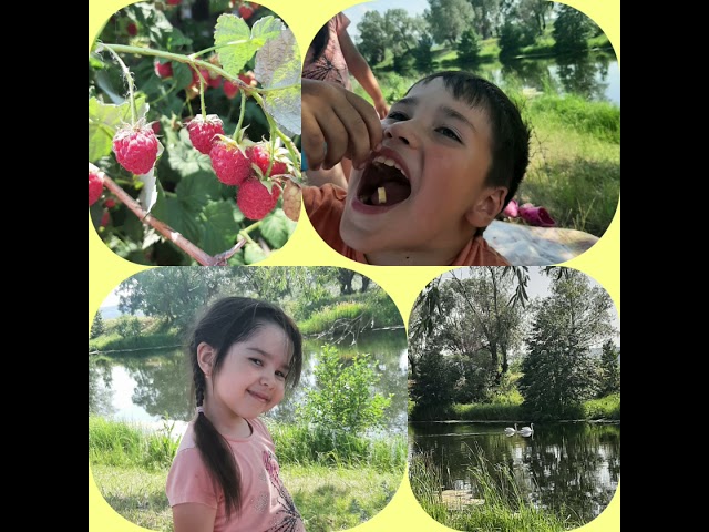 Эх, ямьле җәйләр! Фотоларда истәлеккә кала!