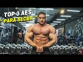 TOP 3 MELHORES AES PARA SECAR ATÉ A ALMA