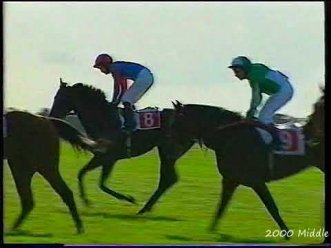 2000 Middle Park Stakes Minardi Includes Replay