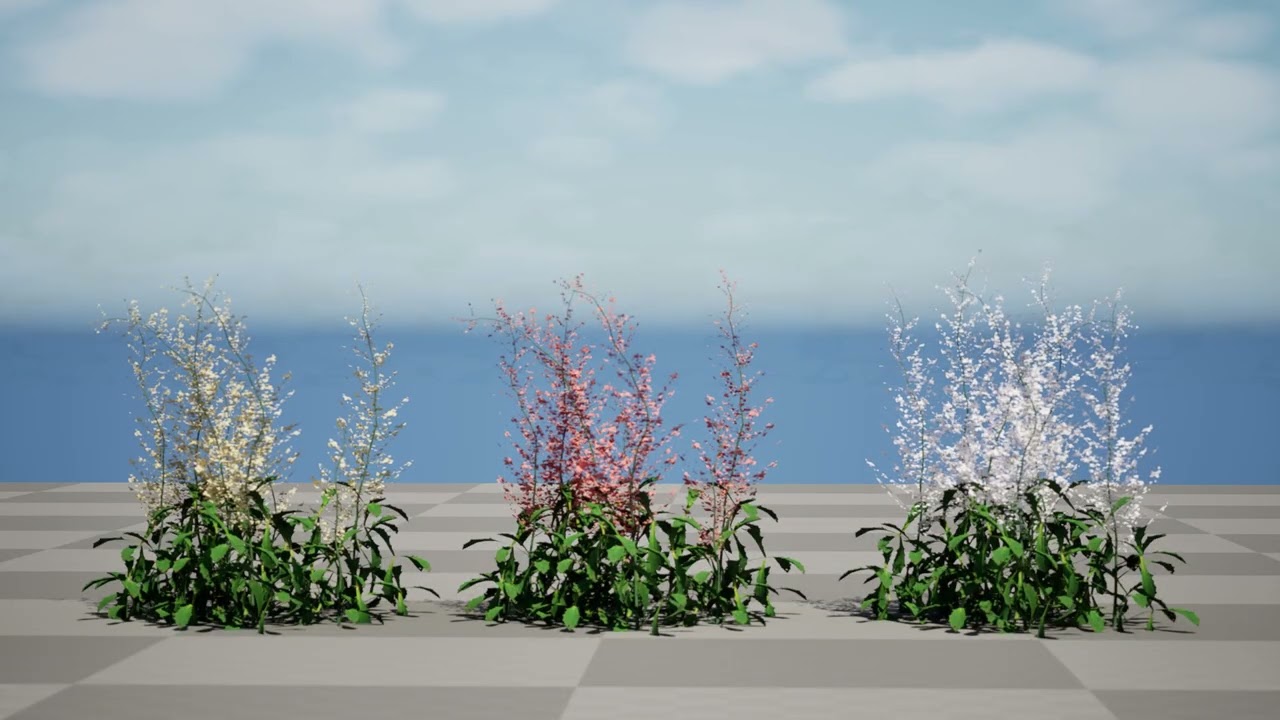 Hennie Graafland Astilbe 3D Model