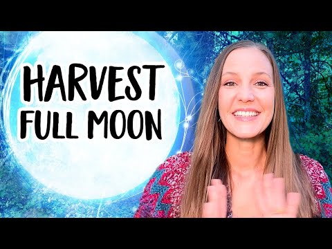 October 6th Harvest Full Moon - 3 Things you Need To Know!