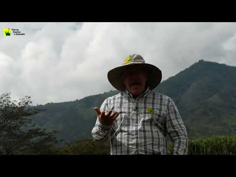 Rules for buying a property. We'll guide you through the process!