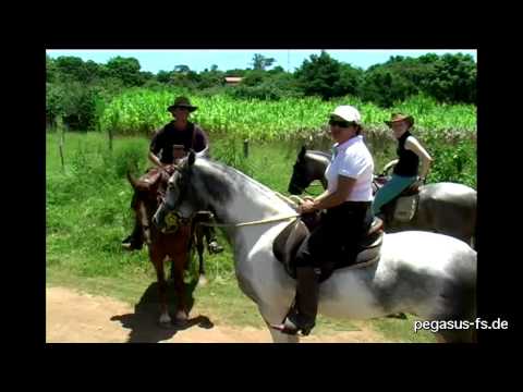 Reiten in Brasilien, Teil 1