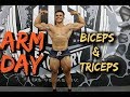 BICEPS AND TRICEPS | 2 WEEKS OUT