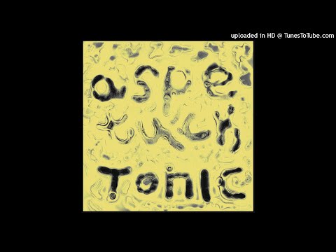 Aspetuck - Squid [Lagaffe Tales]