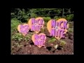 Nick At Nite Bumper Collection