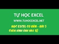[Video] Học EXCEL cơ bản - 05 - Chèn hình ảnh vào trong bảng tính trong excel