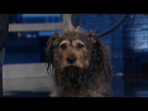 Stephen Introduces The Worst In Late Show