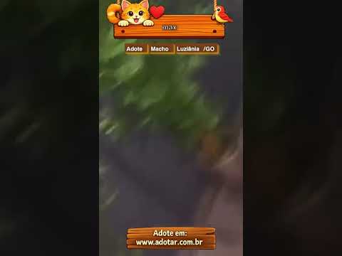 Vídeo de max