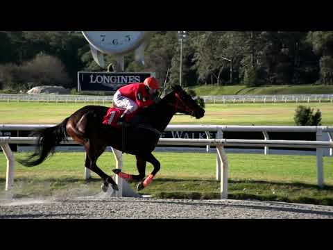 210703 c05 GLITTERING