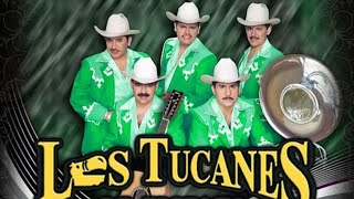 Me Haces Mucha Falta - Los Tucanes De Tijuana (serge djbcmx)