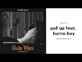 Timaya Pull Up Feat Burna Boy