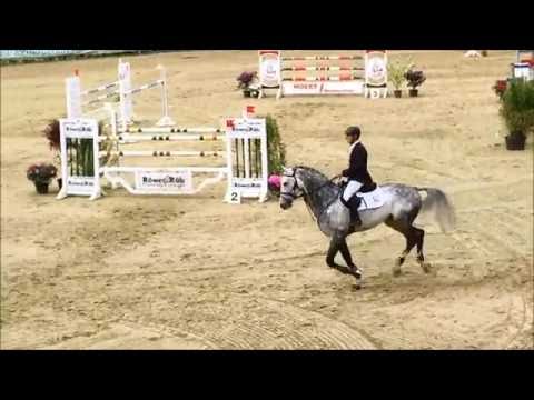 CAPISTRANO im S**-Springen mit Siegerrunde in Kalthof 2016