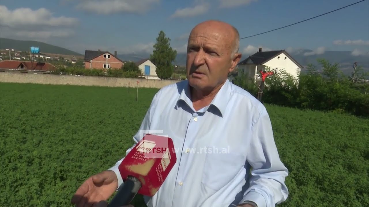 Subvencionet në bujqësi, hapat që një fermer në Kukës ka ndjekur për ta përfituar