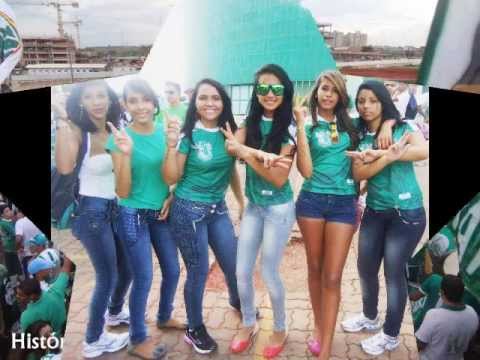 ira jovem gama bonde dos loucos