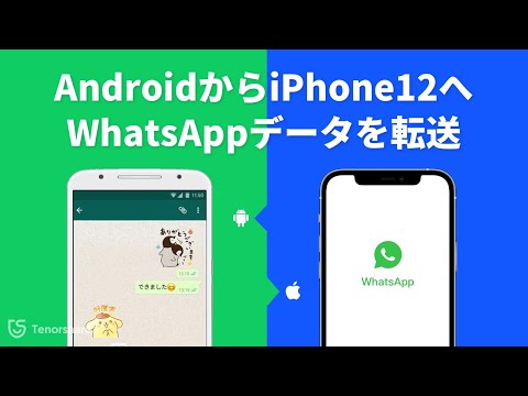 WhatsApp チャットをメールで送信: Android と iOS で簡単に可能