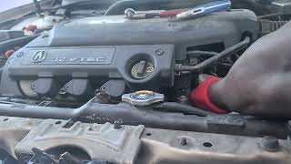 Step-by-Step Guide to Replacing the Radiator in a 2003 Acura TL