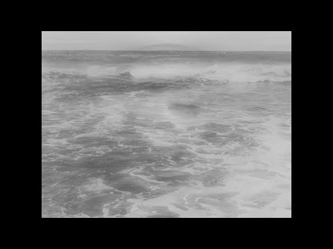 Oh, Flamingo! - She Feels [Official Lyric Video]