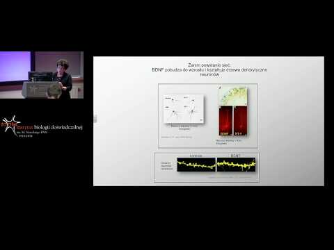 Prof. Małgorzata Skup "Jak komunikują się komórki nerwowe: magia synaps".