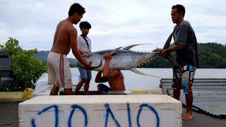 preview picture of video 'Pemikul Ikan Tuna (Pantai Malebur, Desa Bahoi & Desa Tamako Kab.Kepulauan Sangihe)'