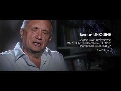 Видео презентация компании