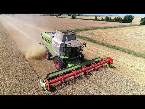 Moisson de blé 2018 : Une Lexion 740 en 9m !! [ Aunis TransAgri ]