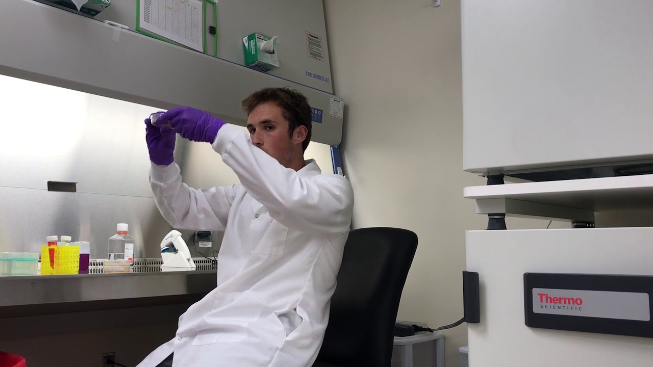 This is Biomedical Engineering, episode 1, Creating cardiac tissue to repair damaged heart muscle.