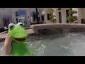 Muppets From Under The Water