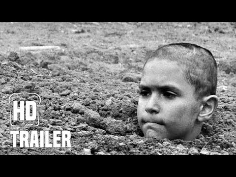 Trailer-Vorschau: The Painted Bird