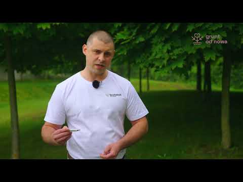 Alternatywne spojrzenie na ekoschematy!