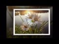 Ромашка белая (поет Аман Кадыров) 