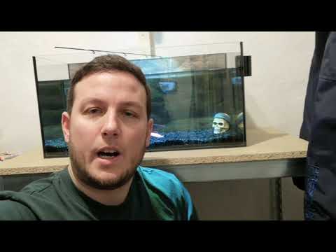 Zander Pro  - Let them glow - Köder unter UV Licht