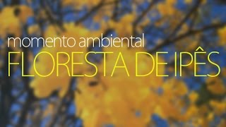 Miniatura do vídeo