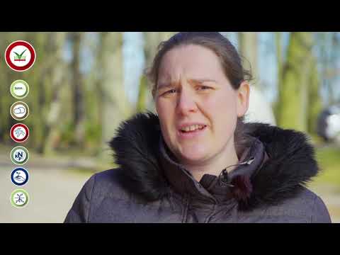 Saaten-Union: Zwischenfruchtanbau bei Kartoffel-Profis