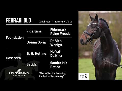 Ferrari OLD by Foundation/Hotline - open house 2018