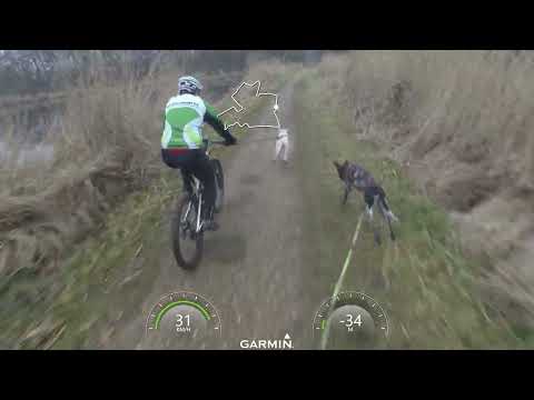 Training 't Broek Blaasveld Ember en Mellok