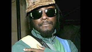 Will I Am-Get your Money (Thomas Cajal Remix &amp;Reetal scratch