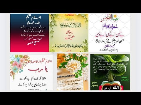 Best Good Morning Quotes In Urdu | Subah Bakhair Images | Good Morning Wishes For Love Short video