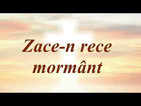 Zace-n rece mormânt (Negativ + Cuvinte)