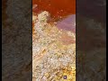 Minyak Kotor ( Miko ) ~ Palm Acid Oil (Pao) 2