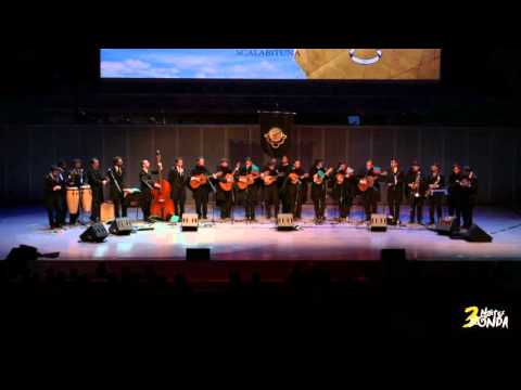 Scalabituna - Lágrimas do Tejo | 3º Noites de Ronda