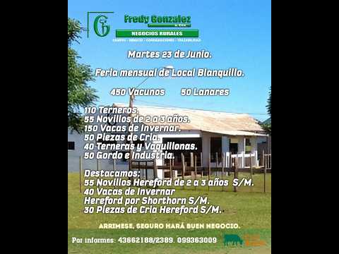 23/06/2026 Blanquillo - Durazno - Feria Mensual - Fredy González y Cía Ltda - Diego Prego