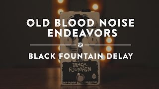 Video thumbnail for Old Blood Noise Endeavors Black Fountain Delay | Reverb Demo Video by Reverb
