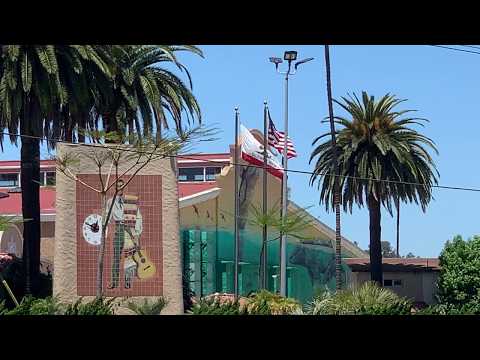 Social Distancing Concert Layout