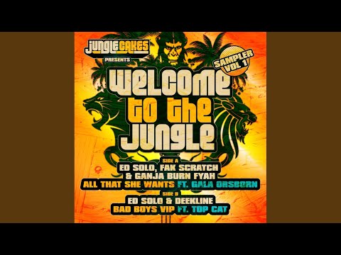 All That She Wants (Original Mix)